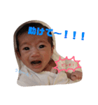 Yori's STAMP2（個別スタンプ：31）