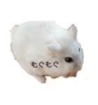 とうふちゃんのスタンプ（個別スタンプ：2）