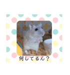 とうふちゃんのスタンプ（個別スタンプ：8）
