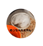 とうふちゃんのスタンプ（個別スタンプ：12）