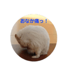 とうふちゃんのスタンプ（個別スタンプ：14）