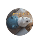 とうふちゃんのスタンプ（個別スタンプ：17）