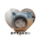 とうふちゃんのスタンプ（個別スタンプ：18）