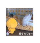 とうふちゃんのスタンプ（個別スタンプ：21）