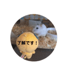 とうふちゃんのスタンプ（個別スタンプ：22）