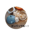 とうふちゃんのスタンプ（個別スタンプ：24）