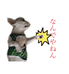 ふれぶる-toremozu-（個別スタンプ：5）
