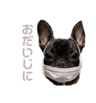 ふれぶる-toremozu-（個別スタンプ：10）