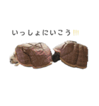 ふれぶる-toremozu-（個別スタンプ：29）