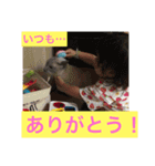 かほ2.（個別スタンプ：14）