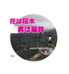 Fiji 藤井 No.1（個別スタンプ：15）