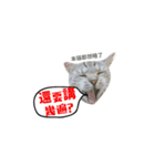 この猫（個別スタンプ：4）
