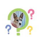 なるとんすたんぷ②（個別スタンプ：14）