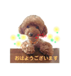 プードル  モカ（個別スタンプ：2）