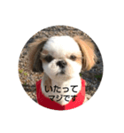高槁（個別スタンプ：7）