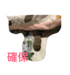 マサオ君パート1（個別スタンプ：4）
