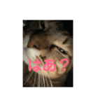 マサオ君パート1（個別スタンプ：5）