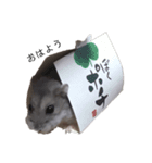 むねはち（個別スタンプ：1）