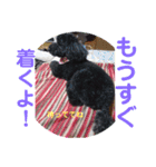 のんさんスタンプ（個別スタンプ：2）
