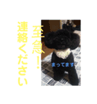 のんさんスタンプ（個別スタンプ：4）