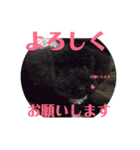 のんさんスタンプ（個別スタンプ：5）