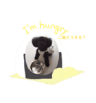 のんさんスタンプ（個別スタンプ：12）