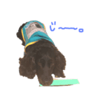 my pets LUKE（個別スタンプ：1）
