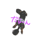 my pets LUKE（個別スタンプ：5）