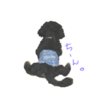 my pets LUKE（個別スタンプ：7）