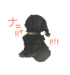my pets LUKE（個別スタンプ：8）