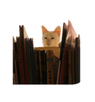 わたしのモコ（個別スタンプ：3）