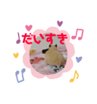 気持ち伝われっ！ハムさんスタンプ（個別スタンプ：4）