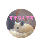 気持ち伝われっ！ハムさんスタンプ（個別スタンプ：5）