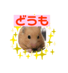 気持ち伝われっ！ハムさんスタンプ（個別スタンプ：8）