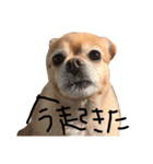 ナツぽよりん（個別スタンプ：4）