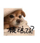 ナツぽよりん（個別スタンプ：6）