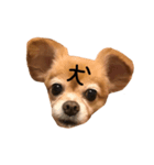 ナツぽよりん（個別スタンプ：7）