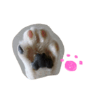 表情豊かなうちのねこ ここあとこたろ2（個別スタンプ：24）