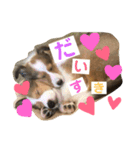 ふーたろうちゃん（個別スタンプ：3）