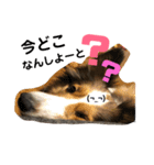 ふーたろうちゃん（個別スタンプ：4）