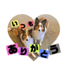 ふーたろうちゃん（個別スタンプ：7）