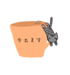 一杯の猫ちゃん（個別スタンプ：17）