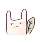うさっぱぱ（個別スタンプ：16）