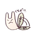 うさっぱぱ（個別スタンプ：17）