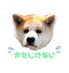 我が家のでこぼこ兄弟（個別スタンプ：4）