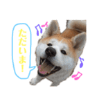 我が家のでこぼこ兄弟（個別スタンプ：11）