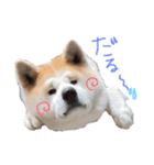 我が家のでこぼこ兄弟（個別スタンプ：20）