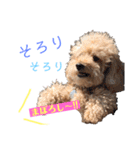 我が家のでこぼこ兄弟（個別スタンプ：25）