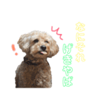 我が家のでこぼこ兄弟（個別スタンプ：26）