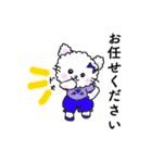ふわふわ猫 スタンプ（個別スタンプ：11）